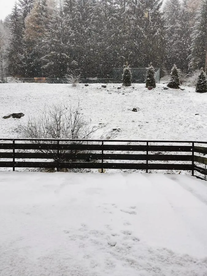 Appartamento Alba - Residence Montesole Ponte Di Legno